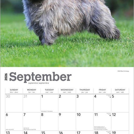Browntrout Cairn Terrier Kalender 2026