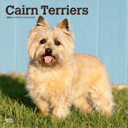 Browntrout Cairn Terrier Kalender 2026