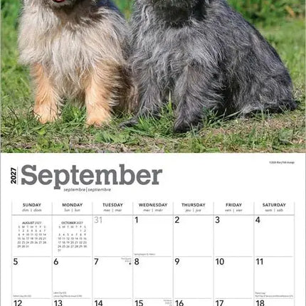 Browntrout Cairn Terrier Kalender 2027