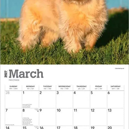Browntrout Cairn Terrier Kalender 2027