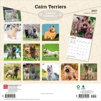 Browntrout Cairn Terrier Kalender 2027