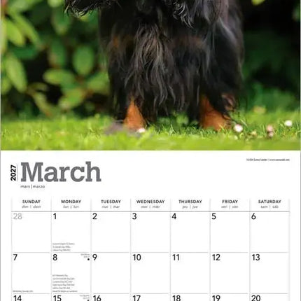 Browntrout Cavalier King Charles Spaniel Kalender 2027