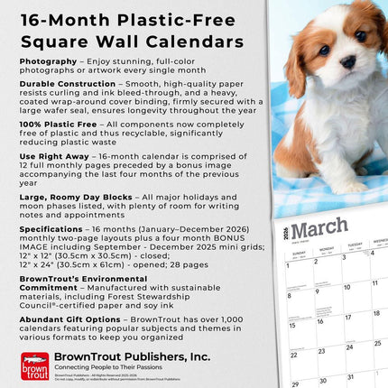 Browntrout Cavalier King Charles Spaniel Puppies Kalender 2026