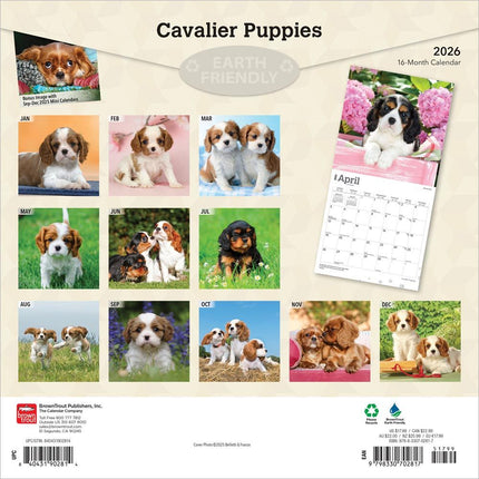 Browntrout Cavalier King Charles Spaniel Puppies Kalender 2027