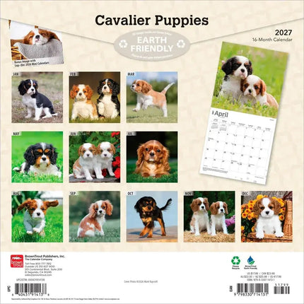 Browntrout Cavalier King Charles Spaniel Puppies Kalender 2027