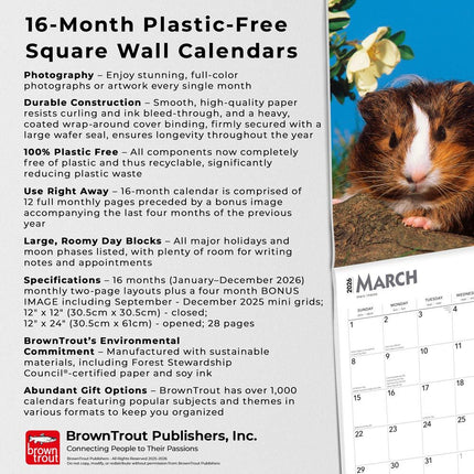 Browntrout Cavia Kalender 2026