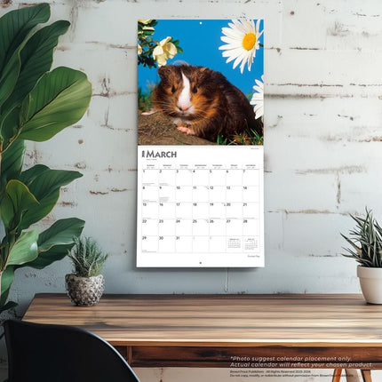 Browntrout Cavia Kalender 2026