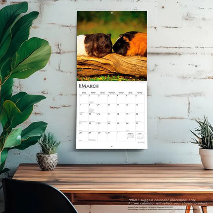 Browntrout Cavia Kalender 2027
