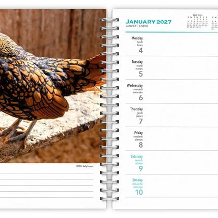 Browntrout Chickens Agenda 2027