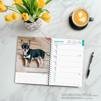 Browntrout Chihuahua Agenda 2026