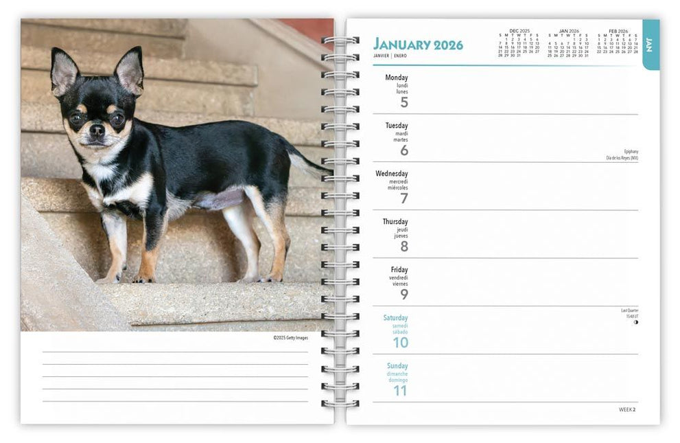 Browntrout Chihuahua Agenda 2026