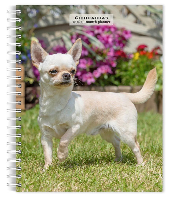 Browntrout Chihuahua Agenda 2026