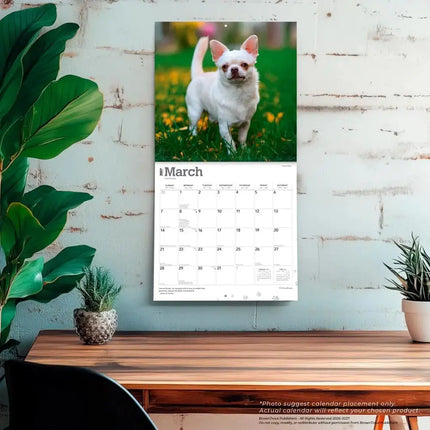 Browntrout Chihuahua Kalender 2027