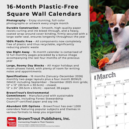 Browntrout Chihuahua Puppies Kalender 2026