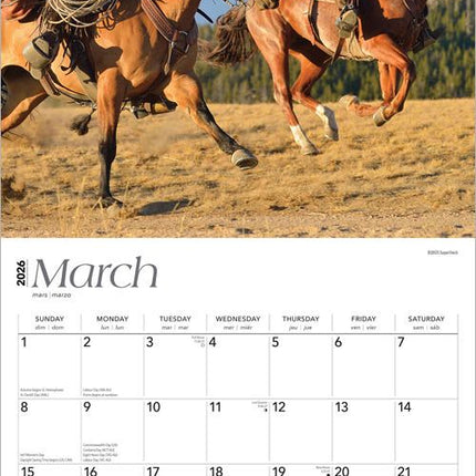 Browntrout Cowboys Kalender 2027