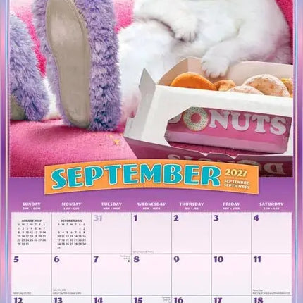 Browntrout Cranky Kitties Kalender 2027