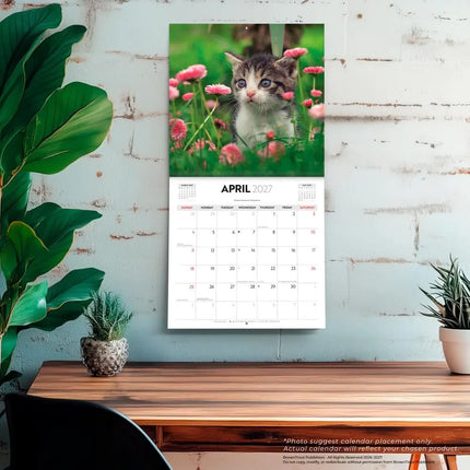 Browntrout Cute Kittens Kalender 2027
