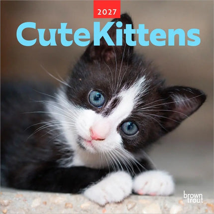 Browntrout Cute Kittens Kalender 2027