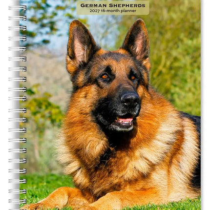 Browntrout Duitse Herder Agenda 2027
