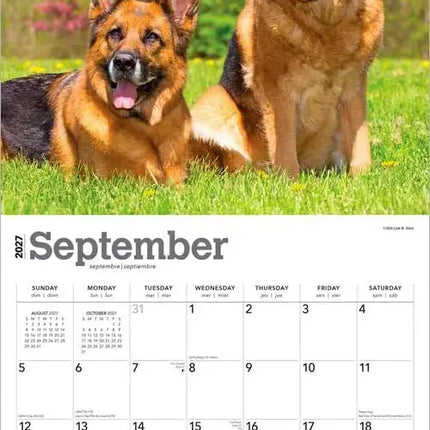 Browntrout Duitse Herder Kalender 2027