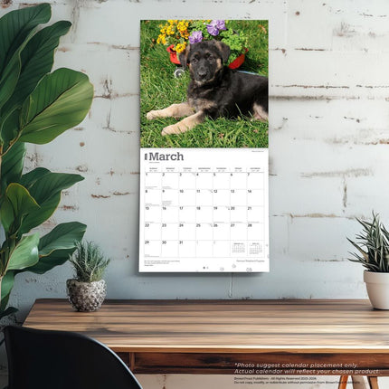 Browntrout Duitse Herder Puppies Kalender 2026
