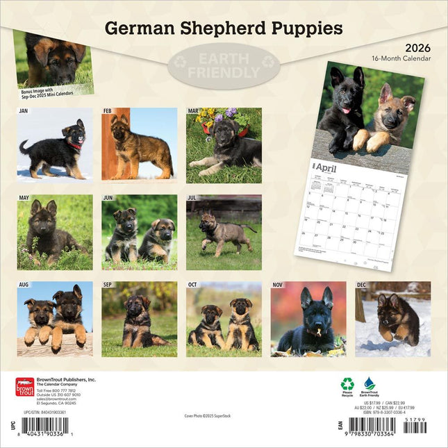Browntrout Duitse Herder Puppies Kalender 2026