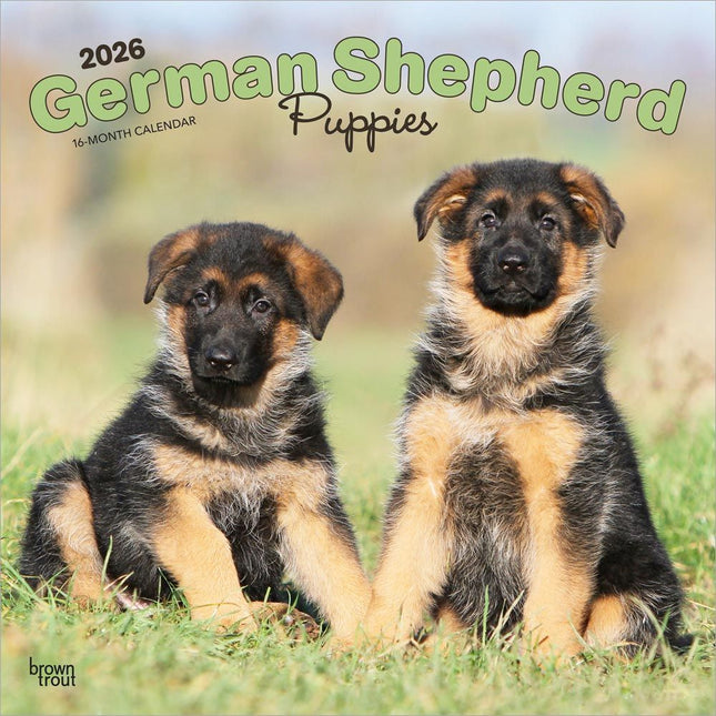 Browntrout Duitse Herder Puppies Kalender 2026