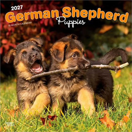Browntrout Duitse Herder Puppies Kalender 2027