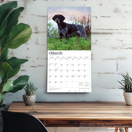 Browntrout Duitse Staande Kalender 2026