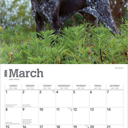 Browntrout Duitse Staande Kalender 2026