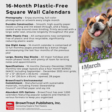 Browntrout Engelse Bulldog Kalender 2026