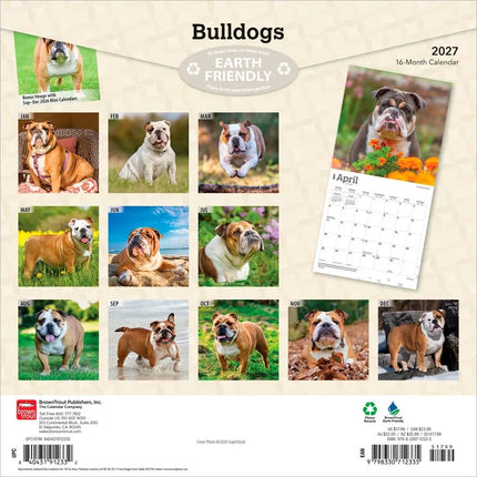 Browntrout Engelse Bulldog Kalender 2027