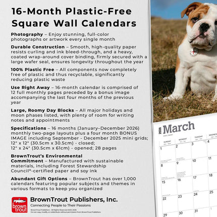 Browntrout Engelse Bulldog Kalender Puppies 2026