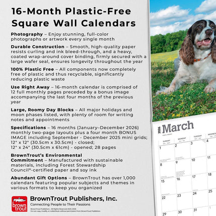 Browntrout Engelse Springer Spaniel Kalender 2026