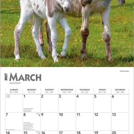 Browntrout Ezel Kalender 2027