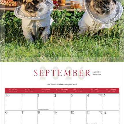 Browntrout Fantasy Pugs Kalender 2026