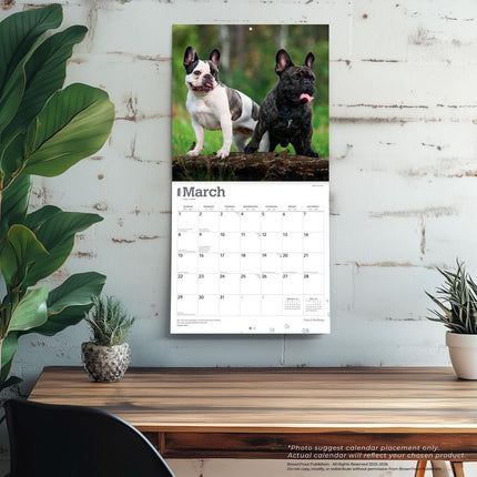 Browntrout Franse Bulldog Kalender 2026