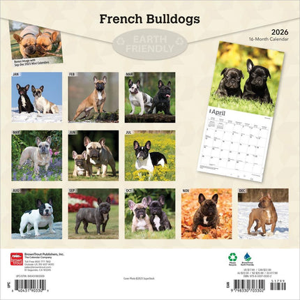 Browntrout Franse Bulldog Kalender 2026