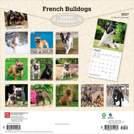 Browntrout Franse Bulldog Kalender 2027