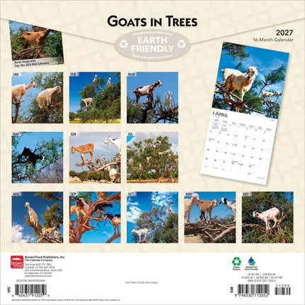 Browntrout Goats in Trees Kalender 2027