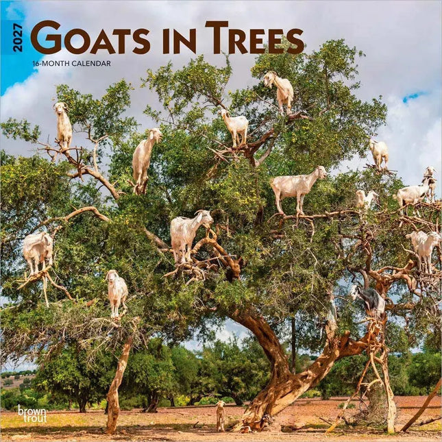Browntrout Goats in Trees Kalender 2027