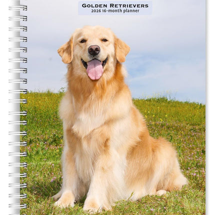 Browntrout Golden Retriever Agenda 2027