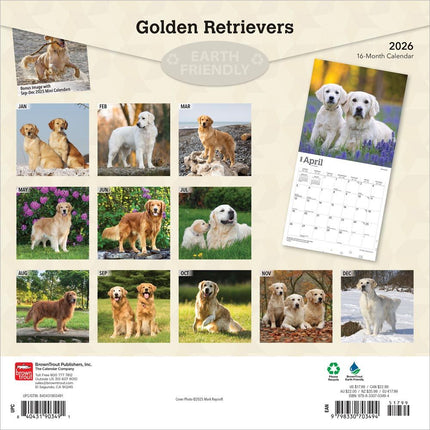 Browntrout Golden Retriever Kalender 2027