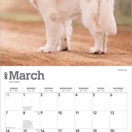 Browntrout Golden Retriever Kalender 2027