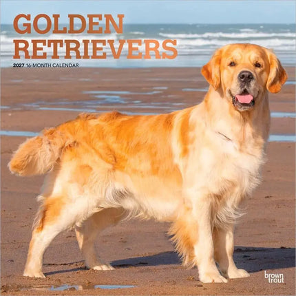 Browntrout Golden Retriever Kalender 2027