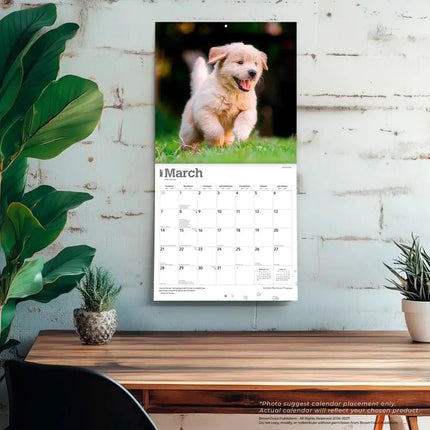 Browntrout Golden Retriever Puppies Kalender 2027