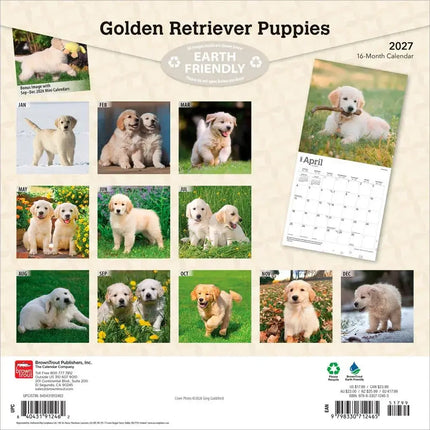Browntrout Golden Retriever Puppies Kalender 2027