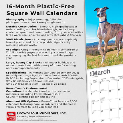 Browntrout Greyhound Kalender 2026