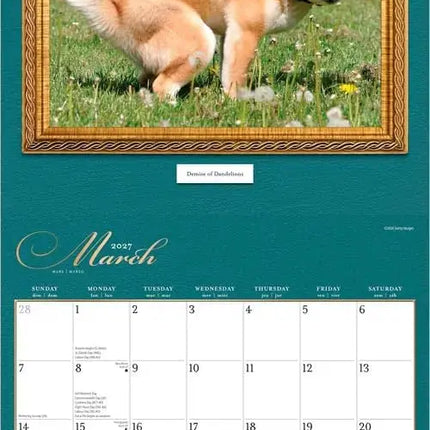 Browntrout Honden Doo Doo Kalender 2027