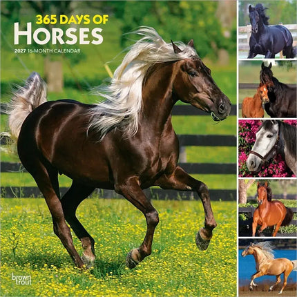 Browntrout I Love Horses 365 Days Kalender 2027